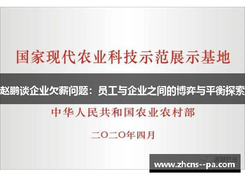 赵鹏谈企业欠薪问题：员工与企业之间的博弈与平衡探索