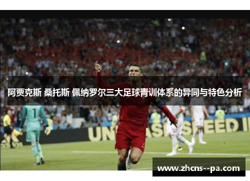 阿贾克斯 桑托斯 佩纳罗尔三大足球青训体系的异同与特色分析